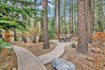 a park with a picnic table in the woods at The Spa at Winterset- Incredible Resort Estate Chalet- Indoor Hot Tub- Games in Big Bear Lake