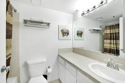 a bathroom with a toilet and a sink and a mirror at Brownie's Den- Modern Cozy Central Resort Condo in Big Bear Lake