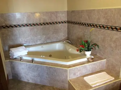 a bath tub with a plant in a bathroom at New Century Inn in San Gabriel