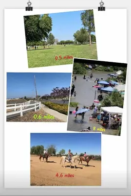 a collage of pictures of people riding horses in a field at Cozy And Comfortable #202 Room in Corona