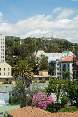 a view of a city with trees and buildings at Luxury Apartment With The Hollywood Hills View in Los Angeles