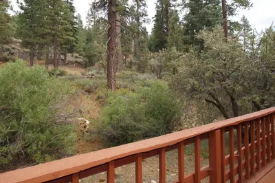 a wooden bridge in a forest with trees at Canyon Cabin - A quaint cabin in a peaceful location yet close to Big Bear's attractions! in Fawnskin
