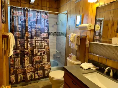 a bathroom with a shower curtain and a toilet and a sink at Fawnskin Family Cabin - Nicely decorated cabin with a lake view and a Foosball Table! in Fawnskin