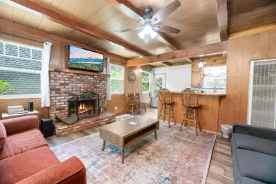 a living room with a couch and a fireplace at Finch Nest - Beautiful cabin in a convenient location! in Big Bear Lake