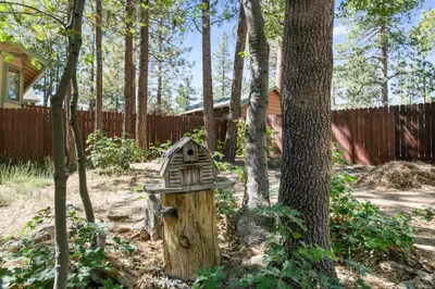 a bird house sitting next to a tree at The Oasis Chalet - Walking distance to The Village, The Lake, and Alpine Slide! in Big Bear Lake