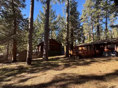 a cabin in the middle of a forest with trees at Little Big Pine - Perfect, stylish cabin near the lake with a great deck in Big Bear Lake
