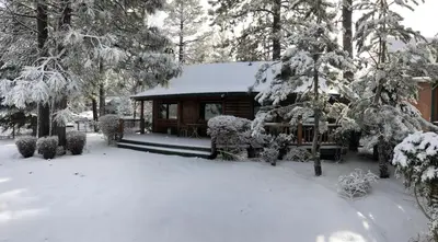 a cabin with a snow covered roof in a yard at Stillwater Cove Lakefront - Breathtaking views, charming vintage cabin, woodsy interior! Boat Dock! in Big Bear Lake