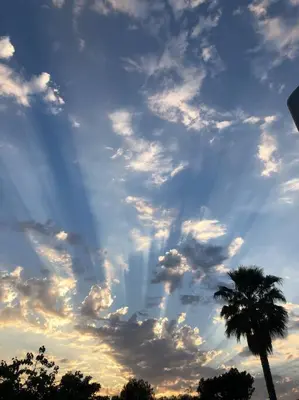 a cloudy sky with a palm tree in the foreground at Beach House located in quiet community. in Oxnard