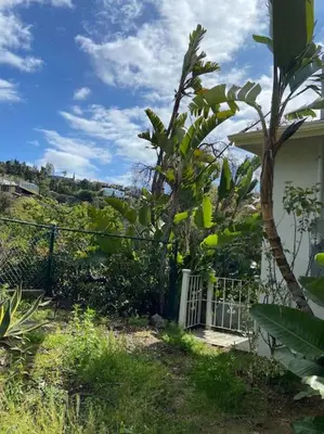 a fence in front of a house with a tree at Stunning Hollywood Midcentury Modern-Views-Best Location! in Los Angeles