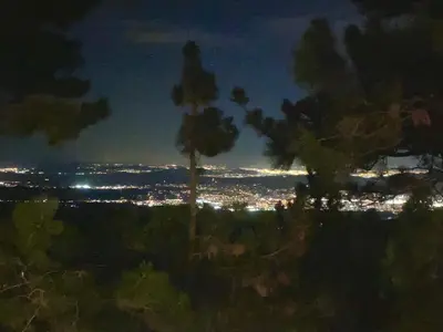 a view of a city at night with a palm tree at The Inspo Cabin with Stunning View in Running Springs