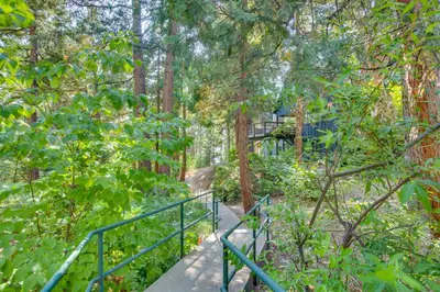 a trail in the woods with a green railing at Steps to Lake Arrowhead Cabin with Full Lake Access in Lake Arrowhead