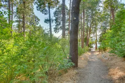 a dirt trail through a forest with trees at Steps to Lake Arrowhead Cabin with Full Lake Access in Lake Arrowhead