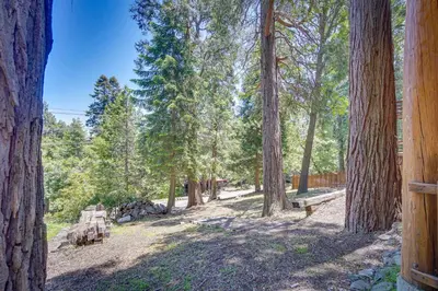 a view of a park with trees and a bench at Crestline Area Vacation Rental Cabin with Decks! in Crestline
