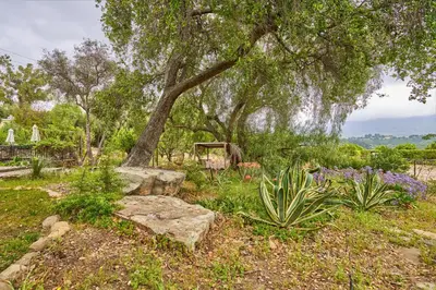 a garden with a tree and rocks and flowers at Ojai Vacation Home with Views on the East End in Ojai