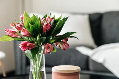 a vase filled with pink flowers on a table at Stylish Vibes 1BD in WEHO in Los Angeles