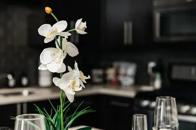 a vase filled with white flowers on a table at Stylish Vibes 1BD in WEHO in Los Angeles