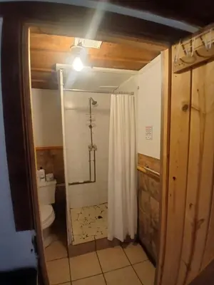 a bathroom with a shower and a toilet in a room at The Village Cabins in Big Bear Lake