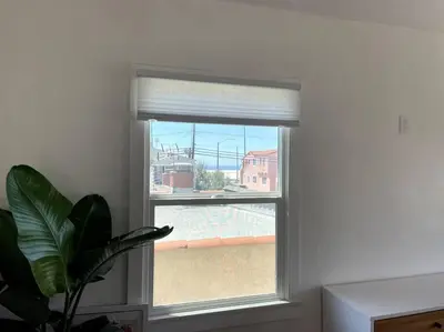 a window in a room with a plant in front of it at Huge Updated Spanish Apt - Steps to Beach & Bay! in Long Beach