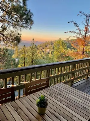 a potted plant sitting on a wooden table on a deck at Panoramic Views at Deer Crest Lodge in Lake Arrowhead