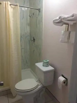 a bathroom with a toilet and a shower at TRAVEL INN MOTEL in Los Angeles
