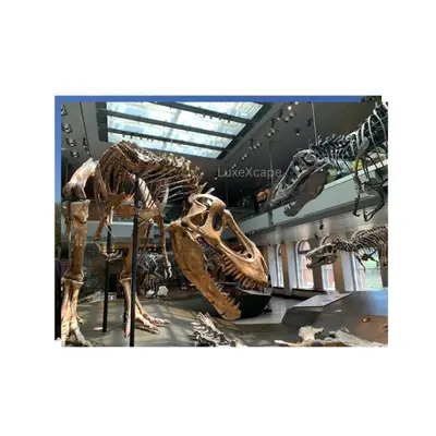 a skeleton of a dinosaur on display in a museum at MAGICAL Xcape, POOLS-SPA, WALK 2 DISNEY, CENTRAL AC-HEAT, FULLY EQUIPPED, 2 FREE PARKING SPACES, OWNER MGMT in Anaheim