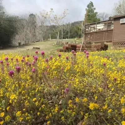 Shirley Creek Retreat: a Mountain Oasis