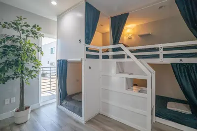 a bunk bed in a room with a plant at Normandie Hostel in Los Angeles