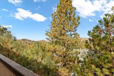 a tall pine tree in the middle of a forest at EV level 2, Pets Welcome at Sunset Ridge in Lake Arrowhead