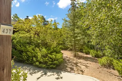 a yard with trees and a dirt road at Fallen Leaf Hideaway Castle Estate in Big Bear Lake