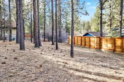a fence in a yard with trees and a house at Kozy Cabin Big Bear~ Walk to Village & Lake Cottage~ in Big Bear Lake