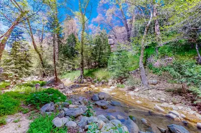 a stream in the middle of a forest at Creekside Cabin in Crestline