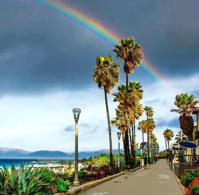 a rainbow in the sky over a sidewalk with palm trees at Brand New Ocean-View Beach Home Steps to the Sand! in Manhattan Beach
