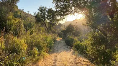 a dirt road with trees on the side of a hill at Malibu Ranch Guest House Hideway in Malibu