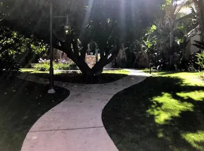a walkway with a tree in a park at Nautical 2 Bedroom with Beautiful Ocean Views in Los Angeles