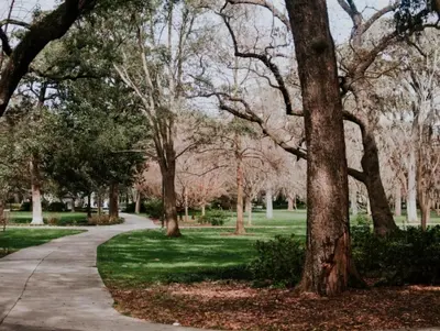 a path through a park with trees and grass at Luxury 2br 2ba Beverly Hills Near Cedars Sinai in Los Angeles