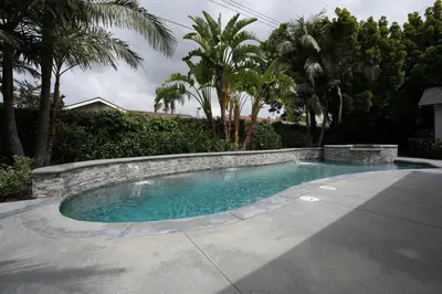a swimming pool in a yard with palm trees at Destination #39 in Orange