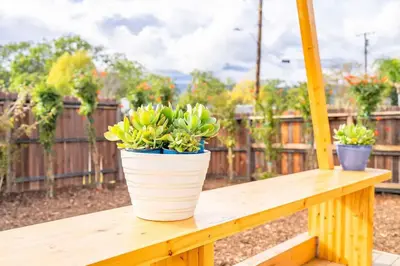 three potted plants sitting on a wooden bench at Glamping in the Urban in Glendora