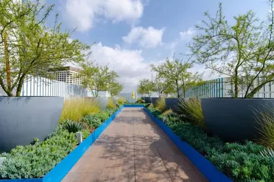 a garden with plants and a wooden walkway at Cozy 3bed Condo with balcony and a rooftop pool in Los Angeles