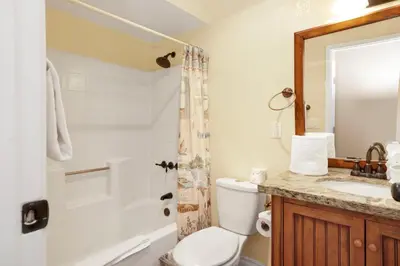 a bathroom with a toilet and a sink and a shower at Fawnskin Chalet#1826 in Fawnskin
