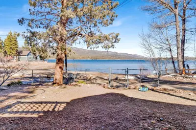 a tree in front of a body of water at Lake shore #012 in Big Bear Lake