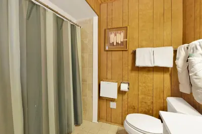 a bathroom with a toilet and a shower at Pinglewood cabin #2096 in Fawnskin
