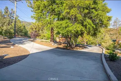 a road with a tree on the side of it at Bernina Dr. Retreat in Pine Mountain Club