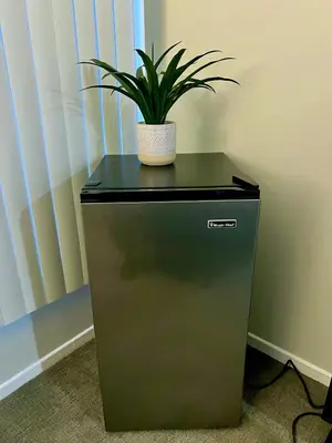 a plant sitting on top of a refrigerator at Shared House Hollywood Hideaway Heart of Fame in Los Angeles