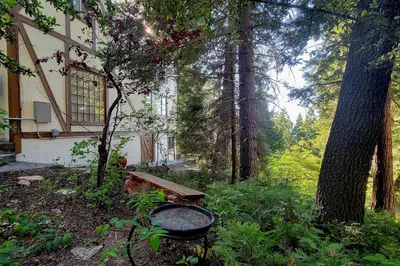 a house in the woods with a bench and trees at Natures Reserve in Lake Arrowhead