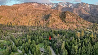 a red flag in the middle of a forest of trees at Suite Meadow @CN Lodge# 7 in Ponderosa