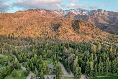 an aerial view of a forest of trees and mountains at Camp Nelson Lodge Room 6 in Ponderosa