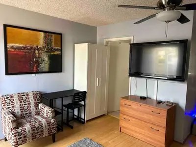 a living room with a tv and a chair at Private Studio GuestHouse With Everything! in Los Angeles