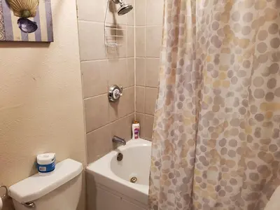 a bathroom with a toilet and a shower curtain at The Treetop Terrace at The Historic Arrowhead Lodge in Twin Peaks