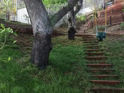 a set of stairs leading up to a tree at Luxe in Hollywood Hills- modern oasis, pool 5 min to Sunset in Los Angeles