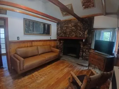 a living room with a couch and a fireplace at Big Bear Lake - Tulip Lane Cabin #25 in Big Bear Lake